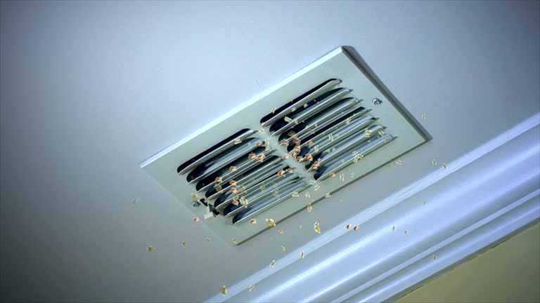 Best Affordable Duct Cleaning Services  in Lansdowne, MD